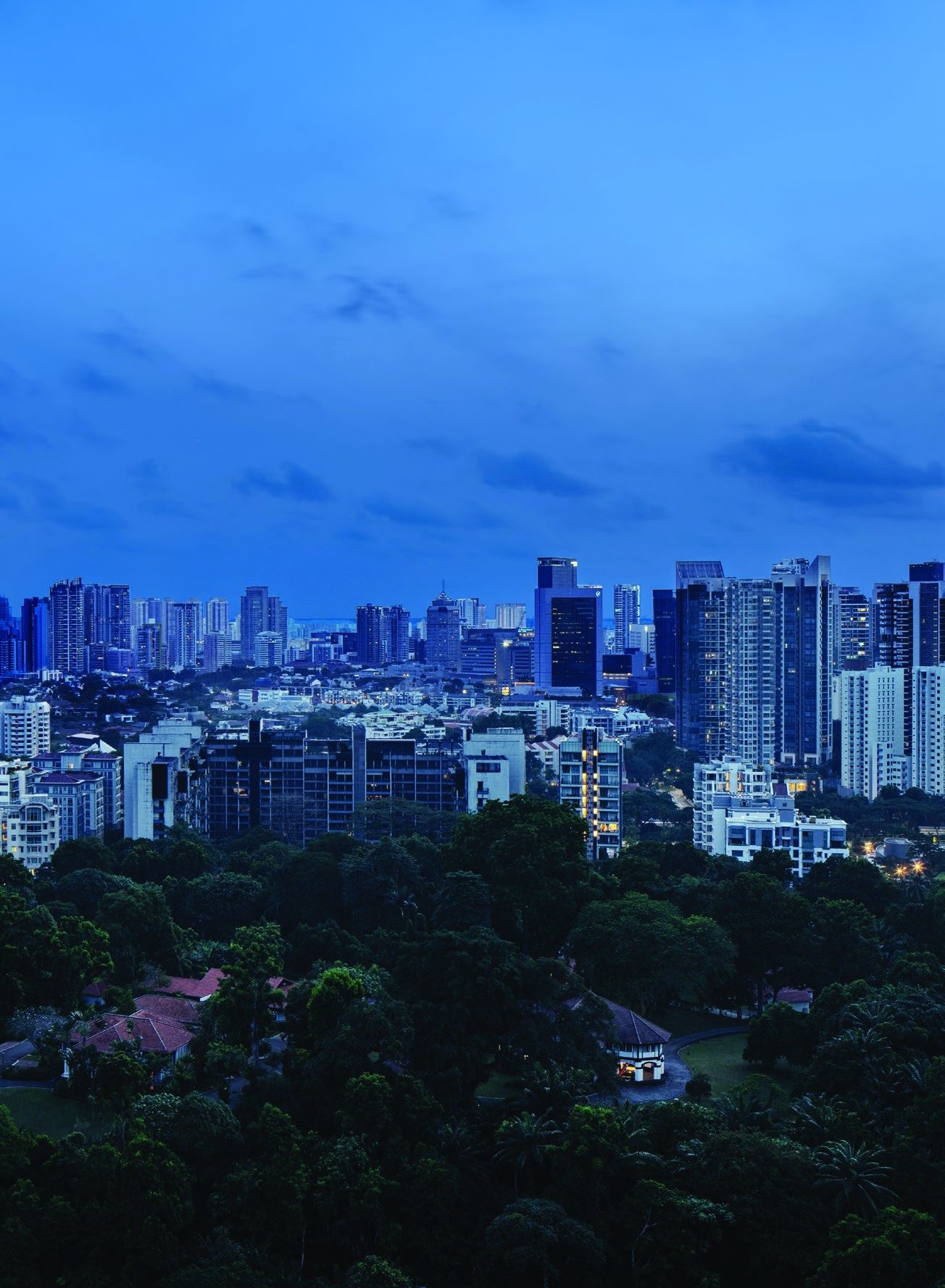 Northern view at twilight